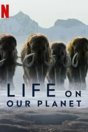 Жизнь на нашей планете (сериал 2023 – …)
